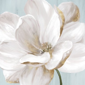 Eva Watts - Soft White II