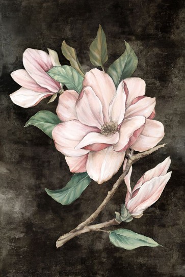 Eva Watts - Pink Magnolia I