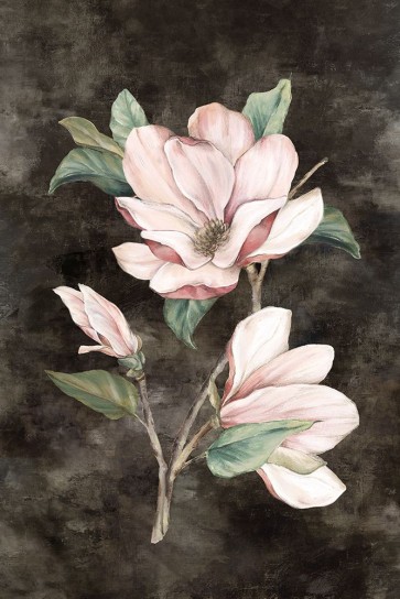 Eva Watts - Pink Magnolia II 