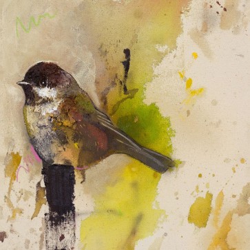 Daniel St Amant - Yellow Goldfinch 