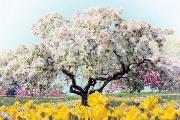 Jessica Jenney - Pastel Park