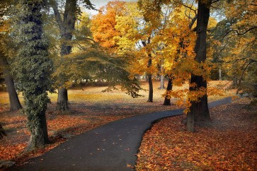 Jessica Jenney - Entrance to Autumn