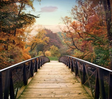 Jessica Jenney - Autumn Encounter