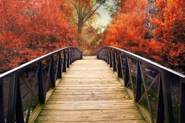 Jessica Jenney - Ardent Autumn 