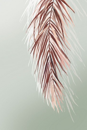 Asia Jensen - Grasses Palms II