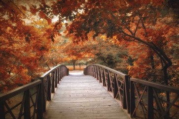 Jessica Jenney - Footbridge 