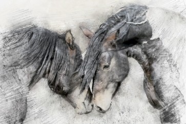 Kim Curinga - Equine Friendship