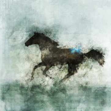 Ken Roko - Lone Star II