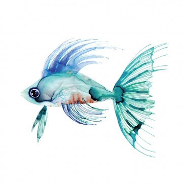 Margaret Berg - Teal Fish