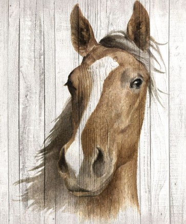 Maya May - Chestnut Mare I