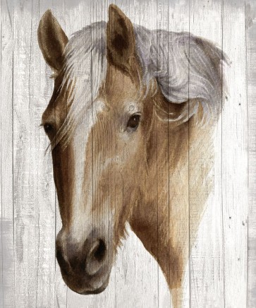 Maya May - Chestnut Mare II