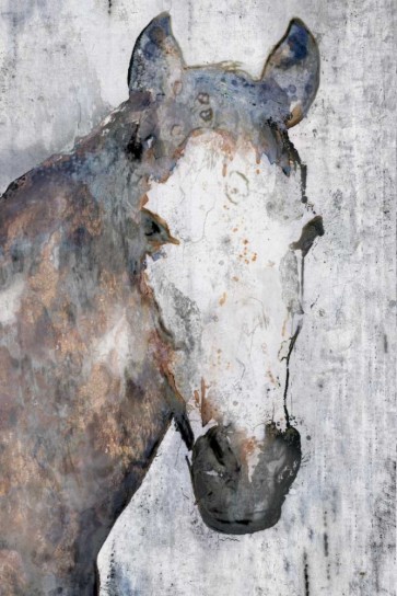 Irena Orlov - Horse Portrait II 