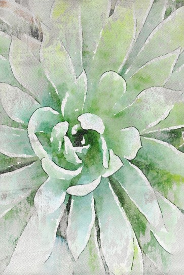 Irena Orlov - Rustic Succulent I 