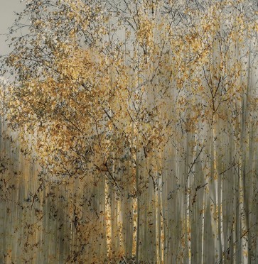 Talen - Birch Impression