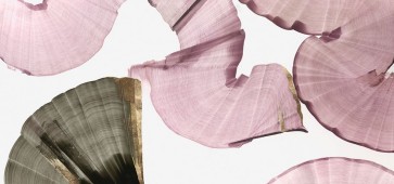 PI Studio  - Silk Streams II
