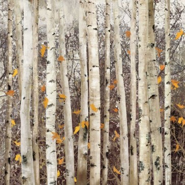 Allison Pearce - Serene Union 