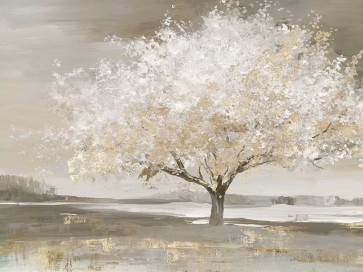 Allison Pearce - Forest Wonderland