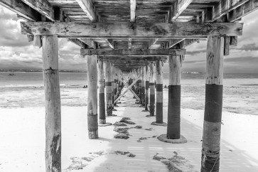 Richard Silver - Wooden Beach Walk