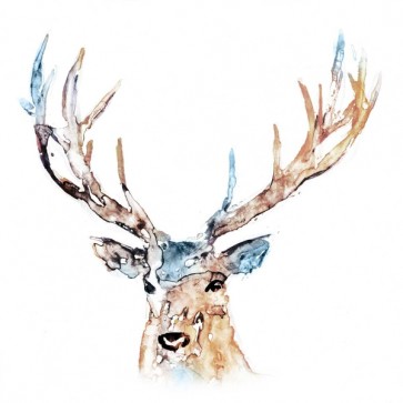Edward Selkirk - Watercolour Reindeer 