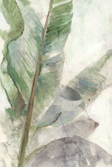 Matina Theodosiou - Tropic Plant