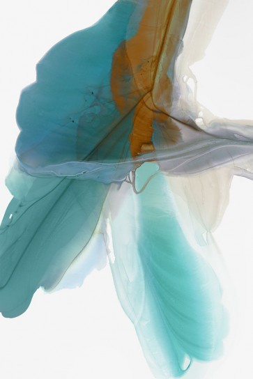 Vicki McFarland - Fluttering