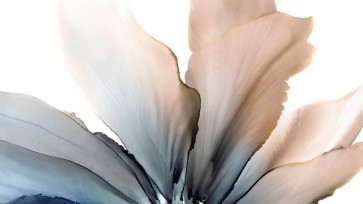 Wendy Kroker - Delicate in Blue 