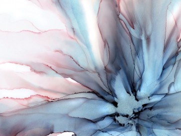 Wendy Kroker - Petalo Flora 