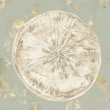 Aimee Wilson - Cone Shells II