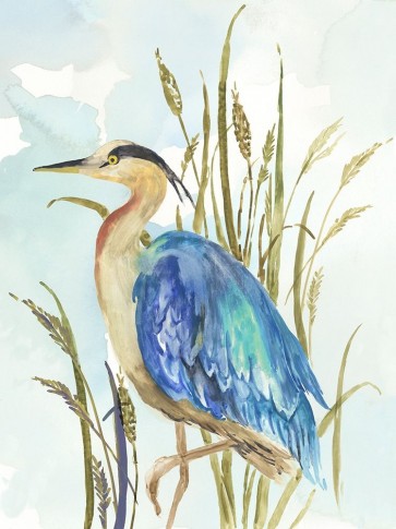 Aimee Wilson - Little Blue Heron