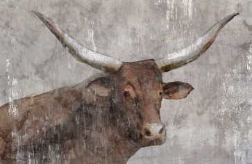 William Cooke - A No Bull