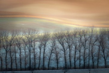 1x - Boguszak - Winter Alley