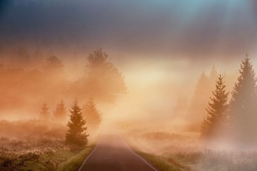 1x - Motl - Magical morning