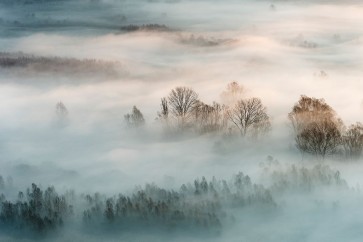 Galimberti - Winter Fog