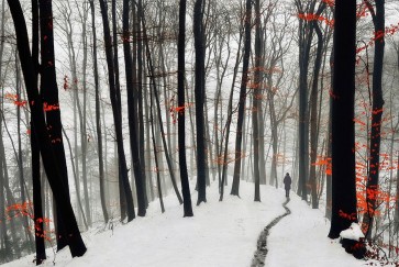 Krivec - Through autumn and winter