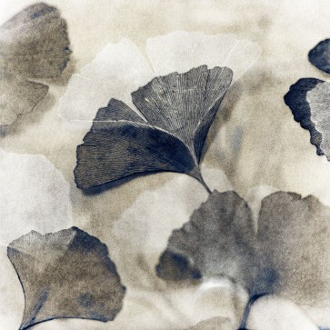 YK Studios - Blooming II