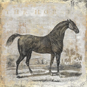 Christine Zalewski - Gold Stallion II 