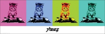 Steez  