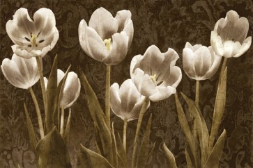 Ives Mccoll - Baroque Poppies II  