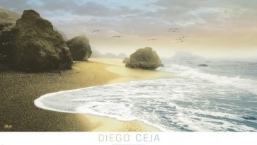 Diego Ceja - Bodega Beach I  