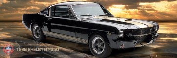Ford Shelby - GT350  