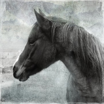 Carol Robinson - Vintage View II 