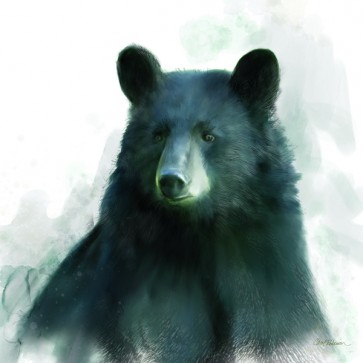 Carol Robinson - Rainsoft Bear 