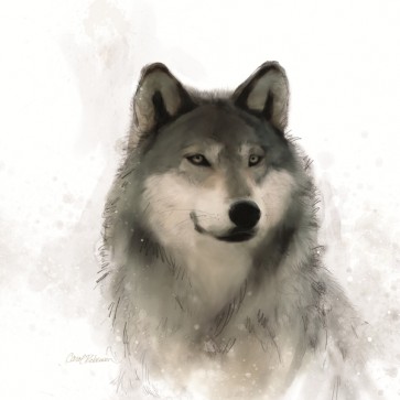 Carol Robinson - Rainsoft Wolf 