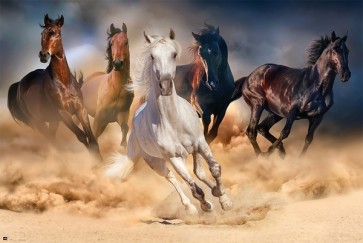 Running Horses 