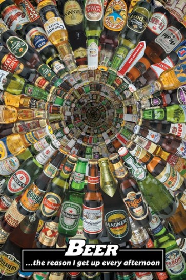 Beer The Reason  