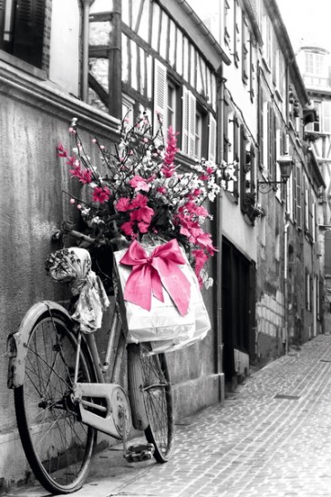Pink Flowers  