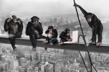 The Chimp - Girder  