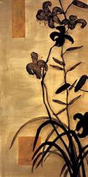 Lys Silhouette II-Erin Lange  