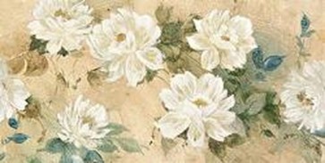 Wilcox - White Petals 
