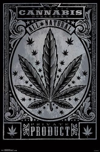 Cannabis  